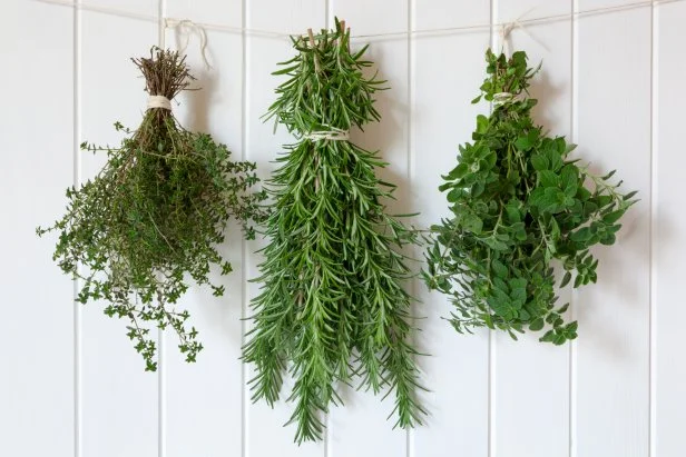 How To Store Fresh Herbs So They Last Longer Food Network how-to-store-fresh-herbs-so-they-last-longer-food-network